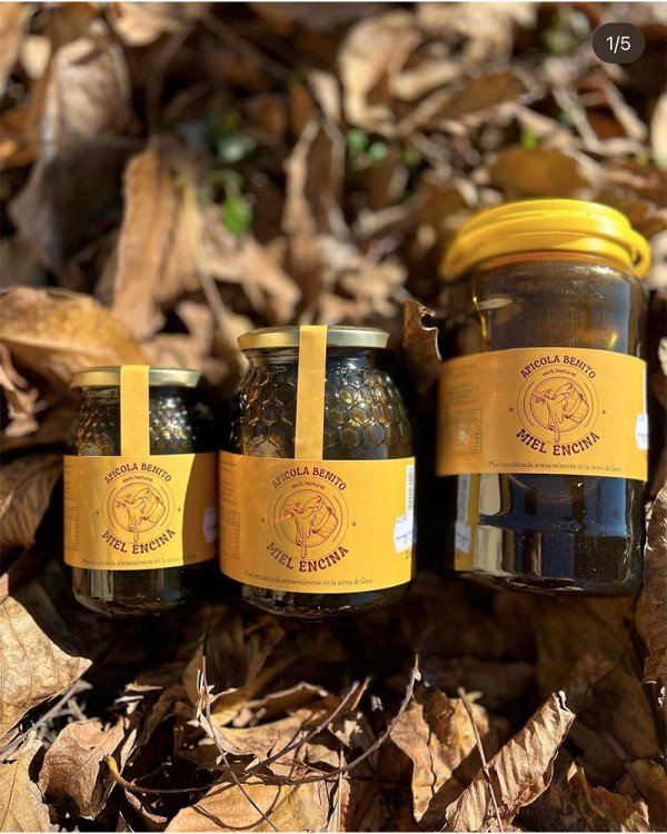 Miel de Encina