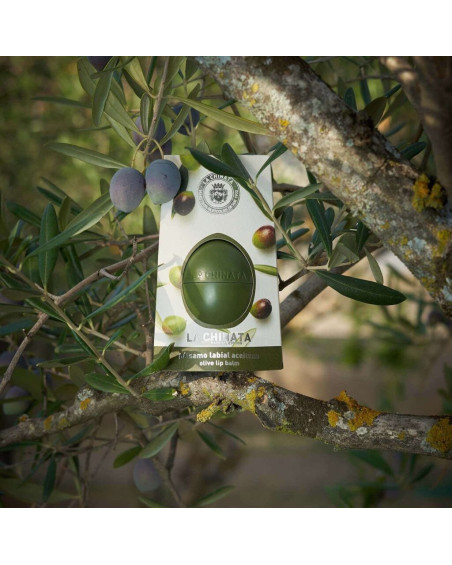 Bálsamo Labial de Aceituna
